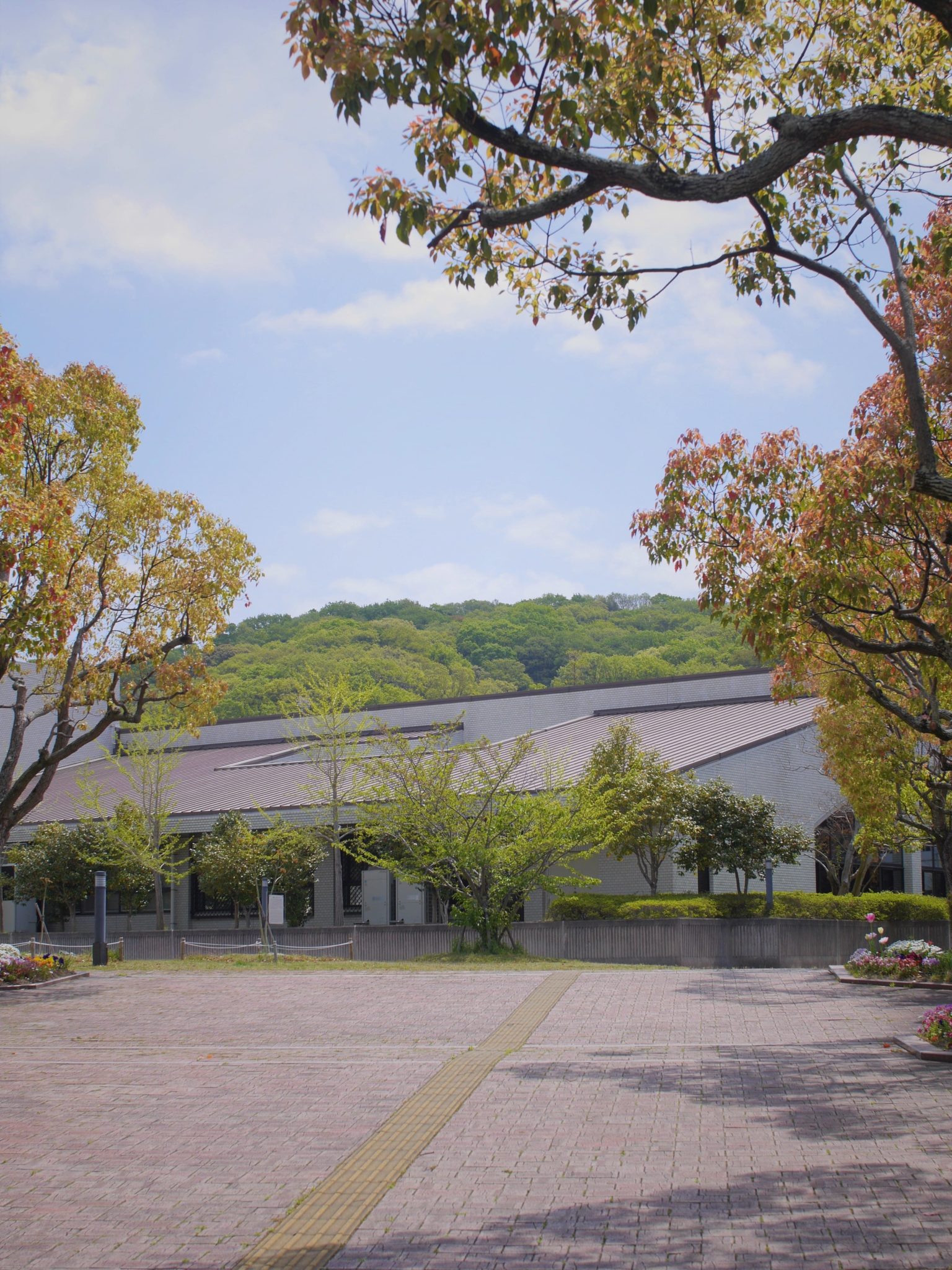 神戸市外国語大学